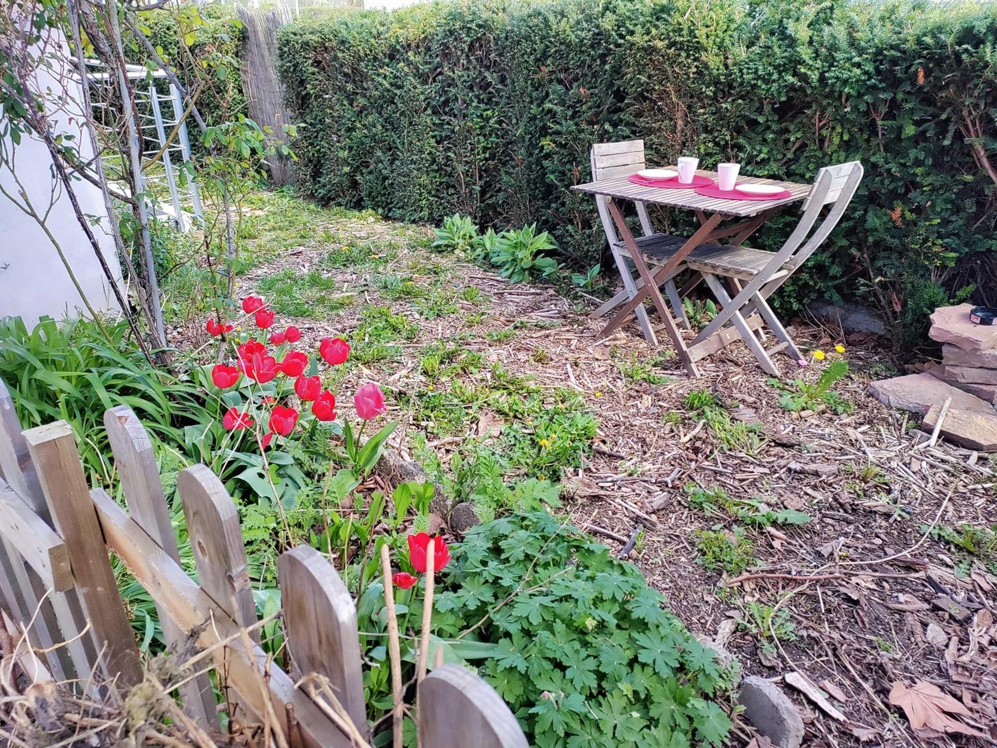 Les Coquelicots, Calme, Jardin Apartment Colmar Exterior photo
